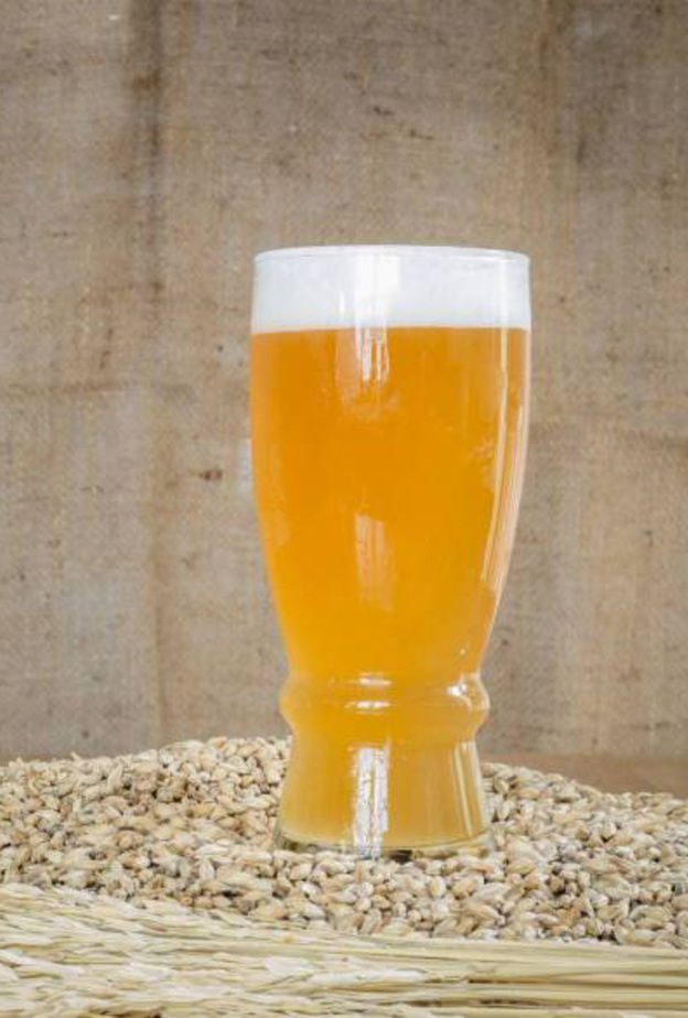 مشروب الشعير ينقي الدم من السموم