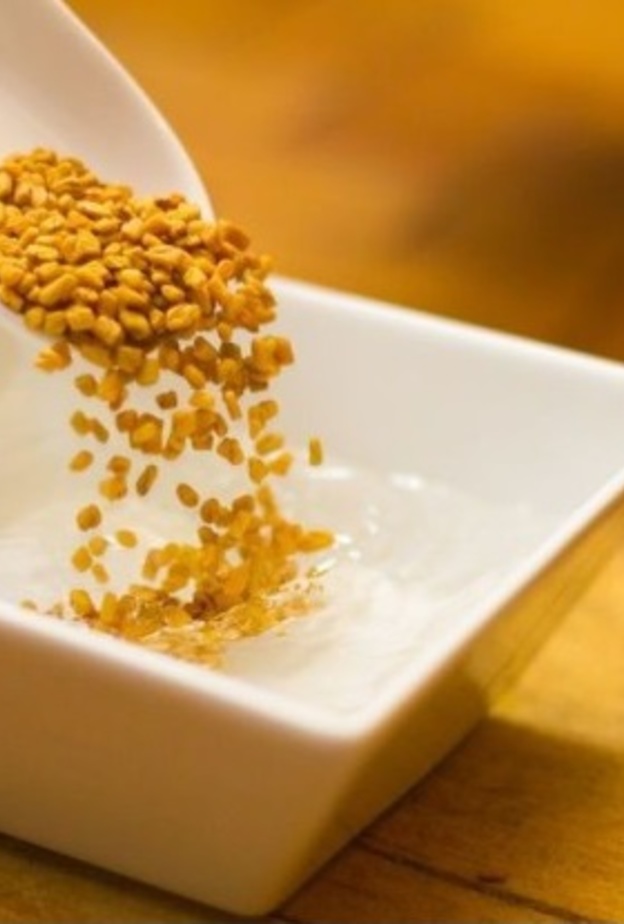 مشروب الحلبة يعزز صحة العظام