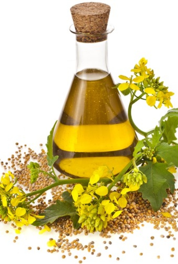 زيت الكانولا لا يحتوي على الكوليسترول الضار على الصحة