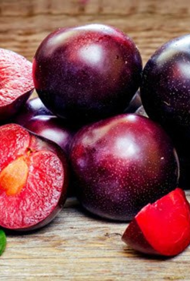 غثيان الصباح لدى الحامل يمكن علاجه بالخوخ