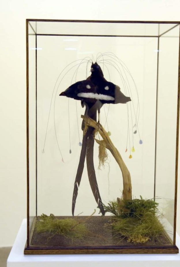 عمل فني بين الحقيقة و الخيال.