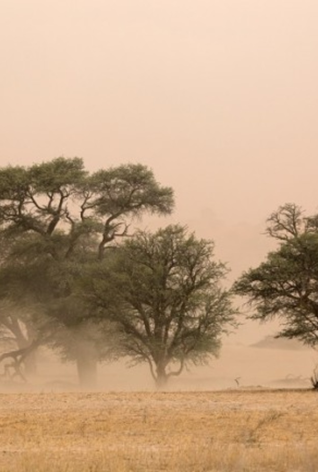 صحة الشرقية حذرت المواطنين من موجة الغبار