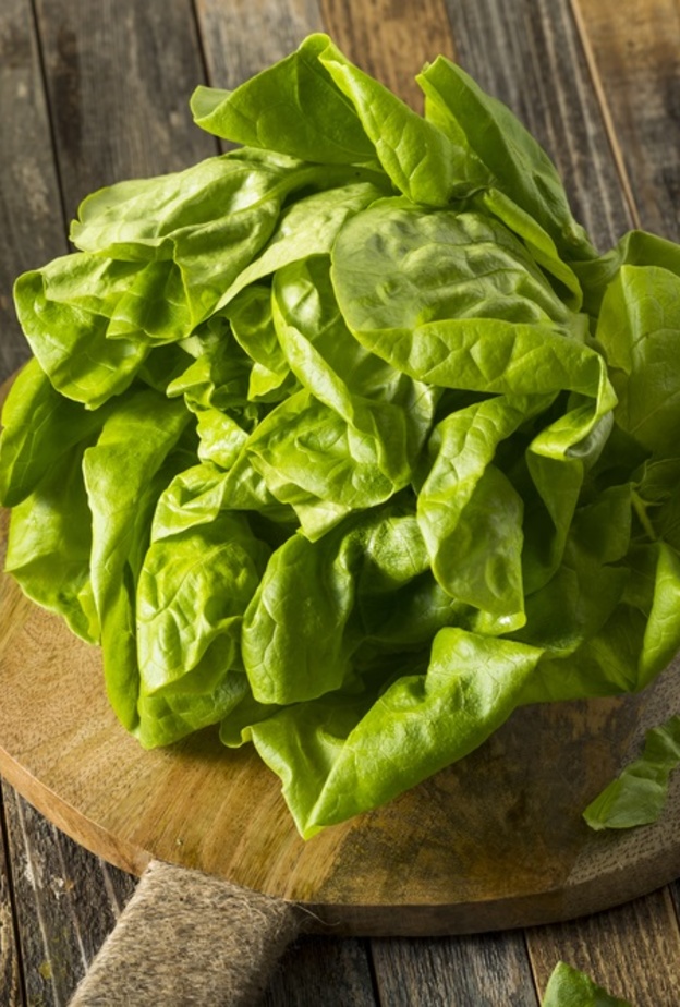 فوائد الخس الصحية والعلاجية