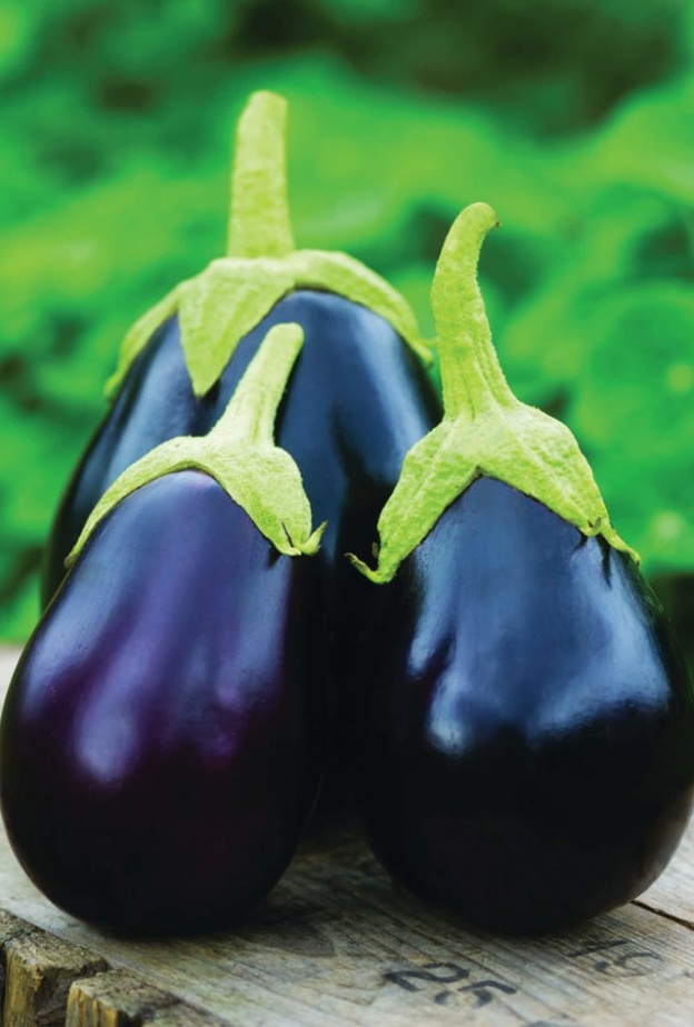 تناول الباذنجان مشوي أو مسلوق يفيد في إنقاص الوزن