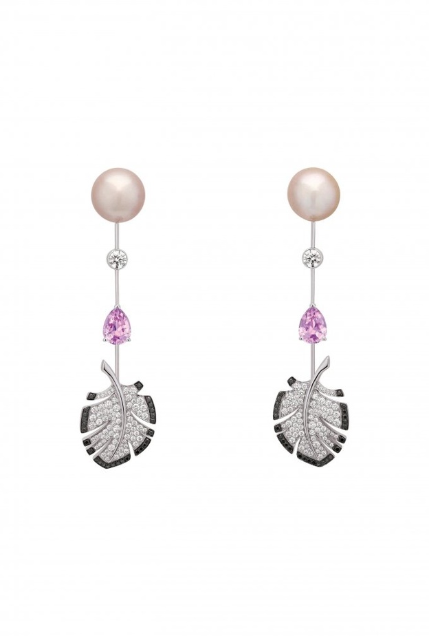 أقراط من دوفان Dauphin