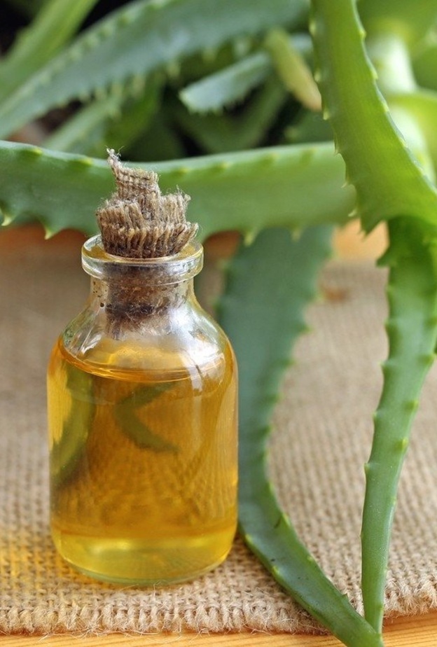 زيت الصبار يقاوم أمراض الالتهابات