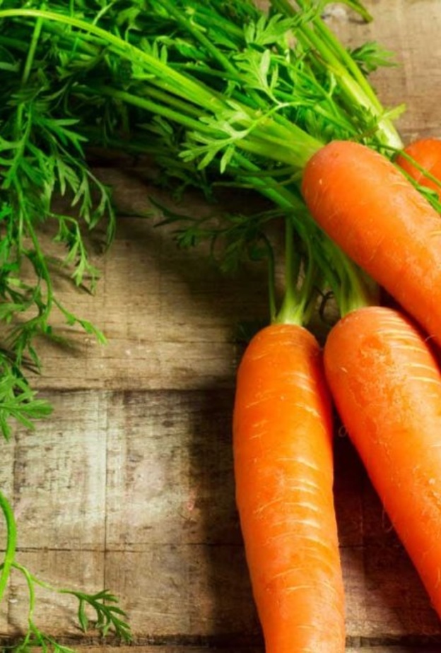 فوائد الجزر للمعدة