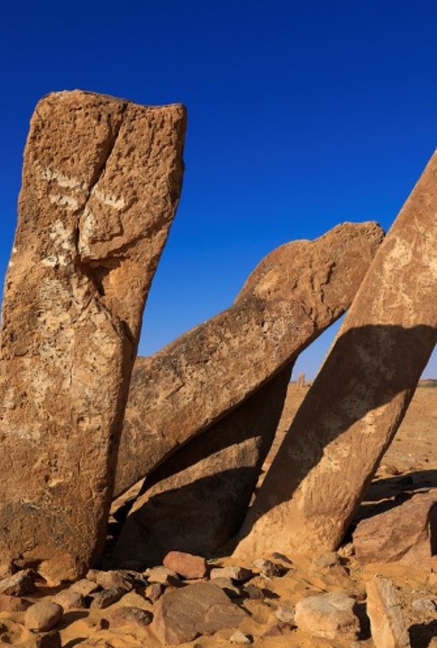 قصر العيشان