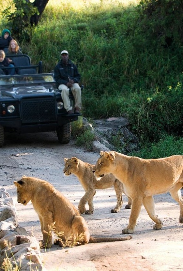 شواطئ جنوب افريقيا غاية في الروعة