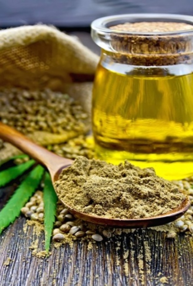 زيت الحشيش يقلل الألم في علاج السرطان