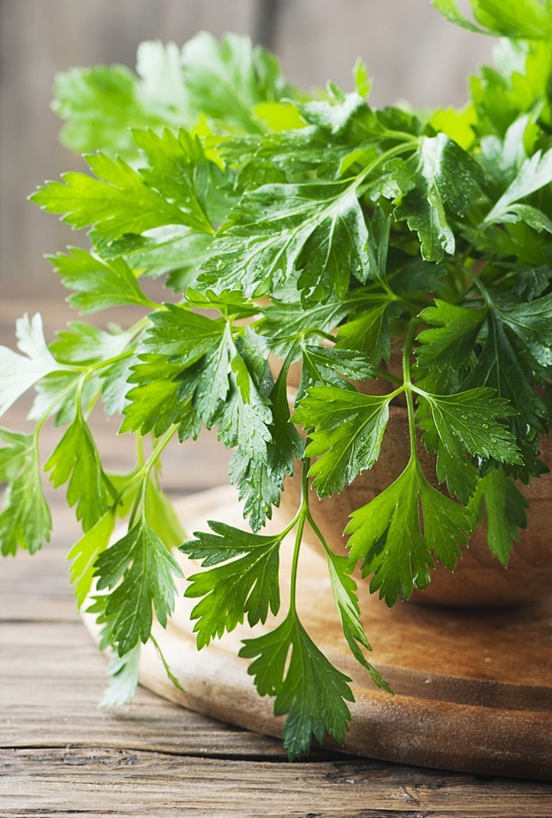 فوائد البقدونس لعلاج القولون