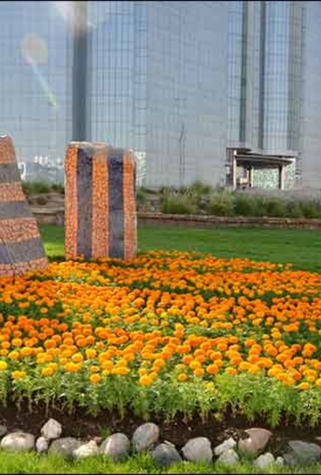 جانب من تزيين الرياض 