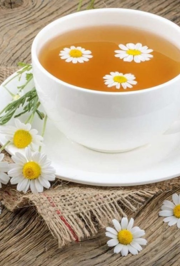 يقلل البابونج من تراكم الدهون الضارة في الجسم