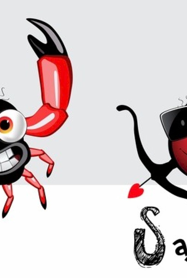 توافق برج القوس مع برج السرطان