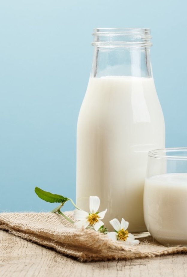 فوائد الحليب للمعدة