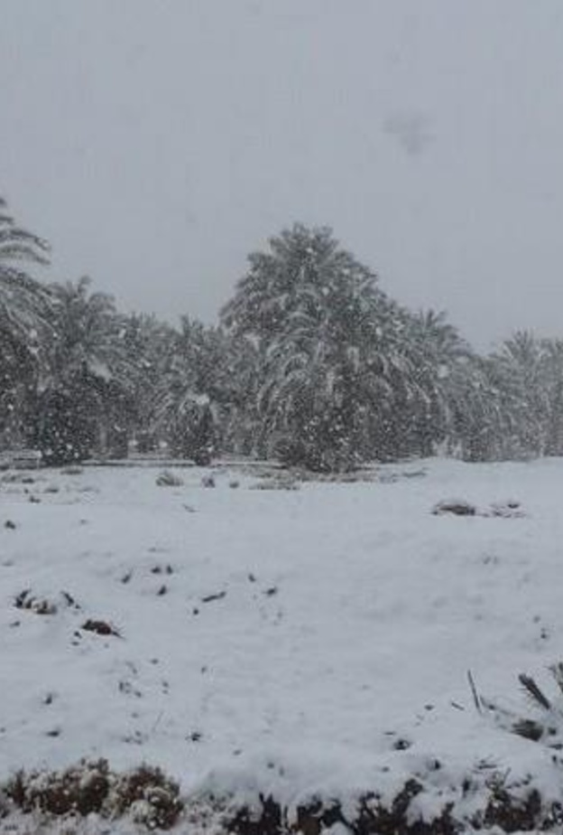 جانب من الثلوج التي سقطت على الحدود الشمالية العام الماضي