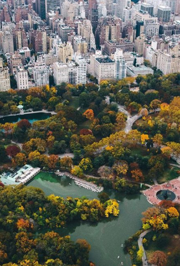 نيويورك، نيويورك 