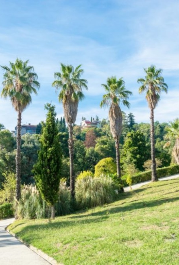 فندق Hyatt Regency Sochi 