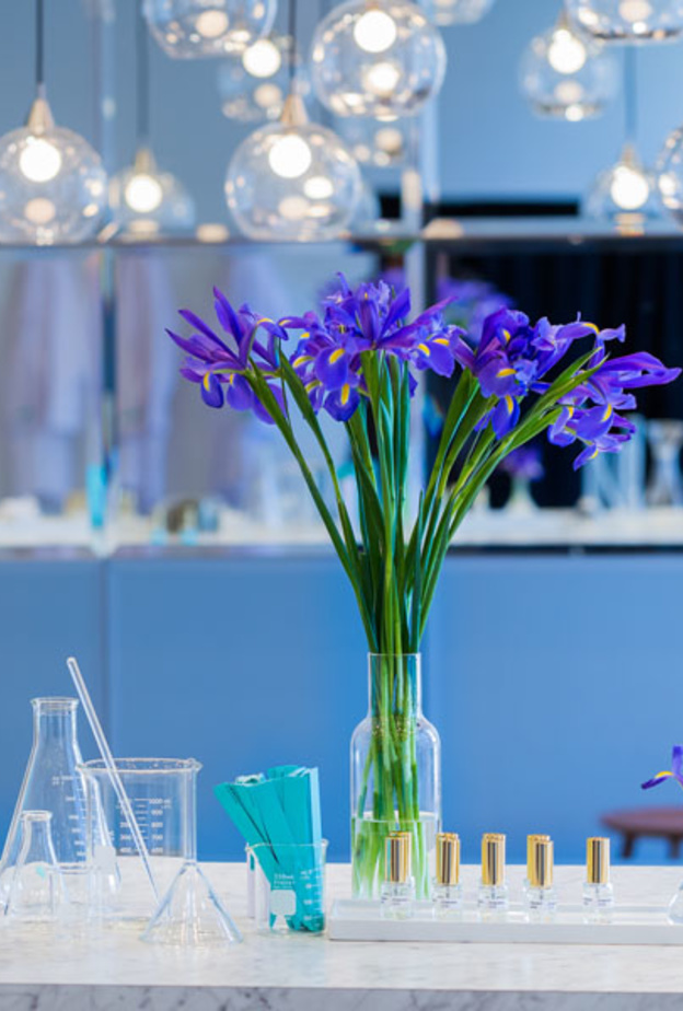 الحملة الإعلانية للدار