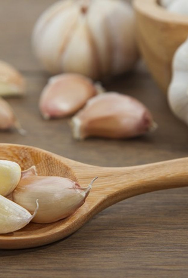 الثوم مفيد لصحة الدورة الدموية