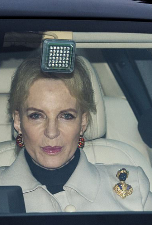 ميغان ماركل والأمير هاري