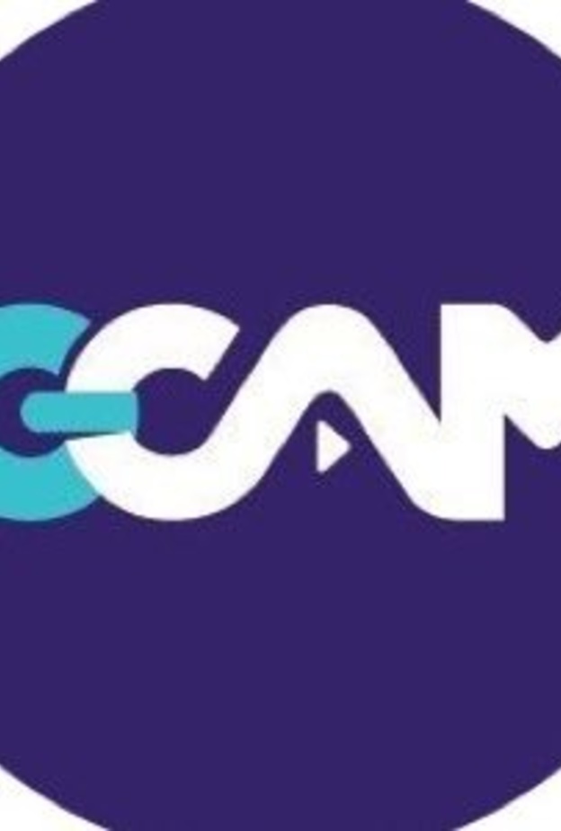 العروض السينمائية في السعودية 