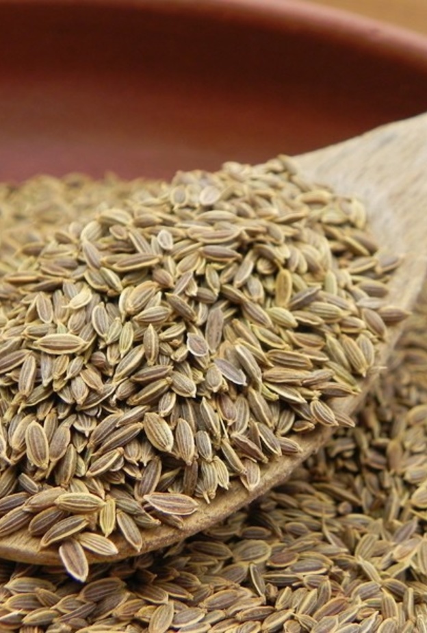 بذور الشبت تعزز مناعة الجسم