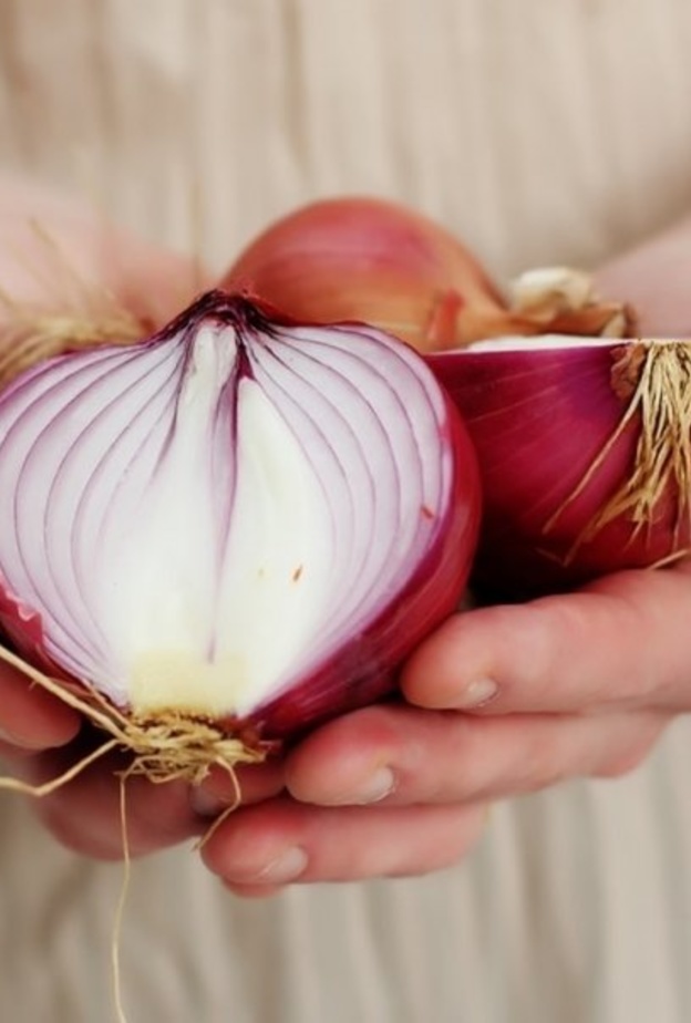 يمكنك عزيزتي الأم الاستفادة من فوائد البصل في خفض الحرارة يوم واحد فقط ثم مراجعة الطبيب