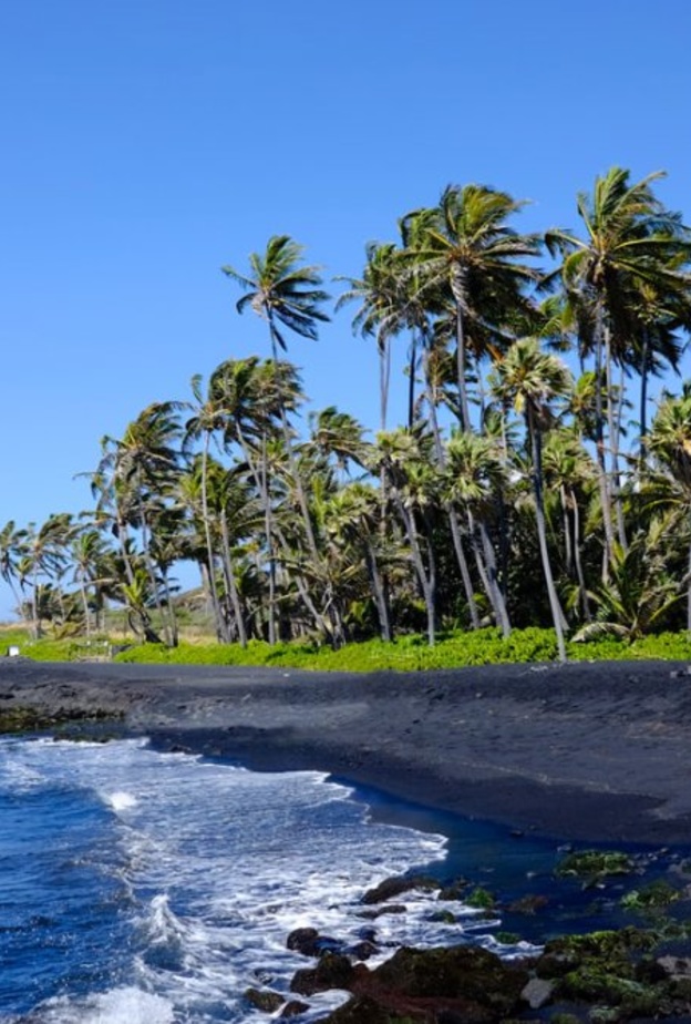 شاطئ Pfeiffer Beach يوجد بالقرب من غابة بيغ شور