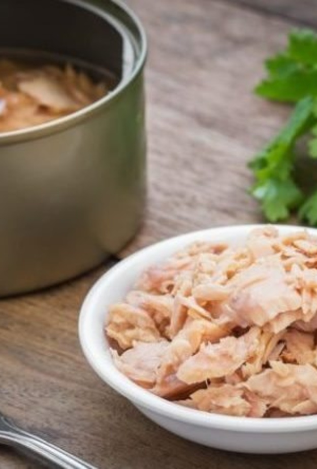 التونة تحمي الجسم من السرطان