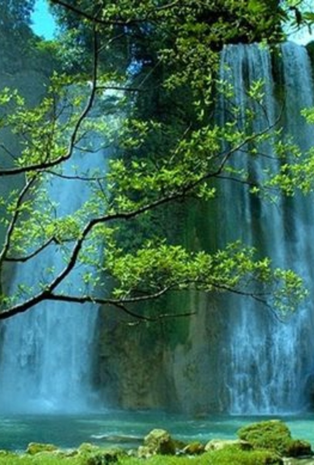 كوتا بونقا من المجمعات المشهورة التي قد تبهر زوارها بحدائقها