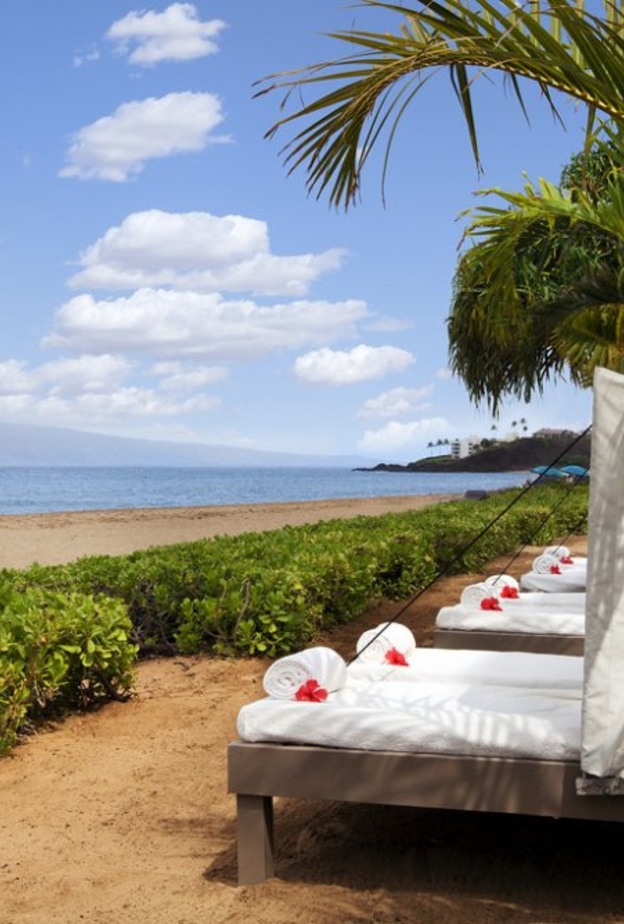 منتجع و سبا Shangri-La Mactan – اصناف المأكولات Shangri-La Mactan Resort & Spa - Food 