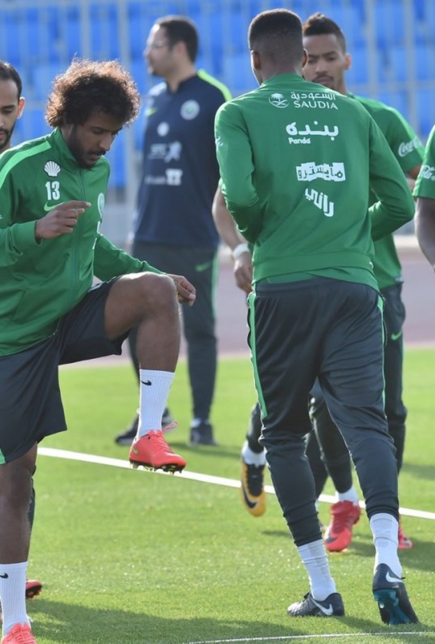 مباريات ودية يخوضها المنتخب السعودي قبل كأس العالم 2018.