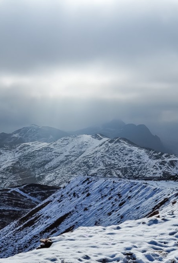 جبل اللوز ملتقى العائلات 