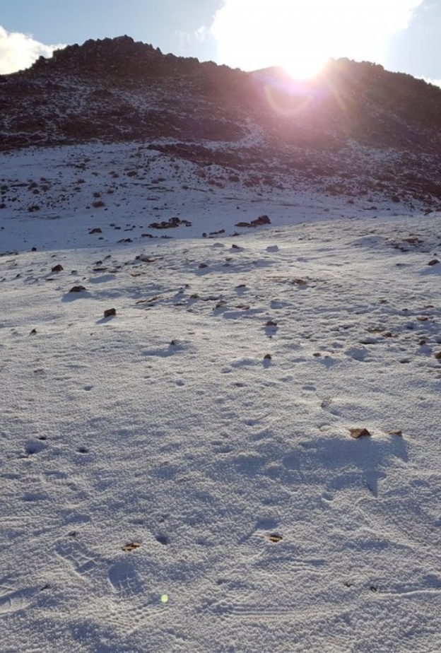 جانب من الثلوج التي سقطت على جبل اللوز 