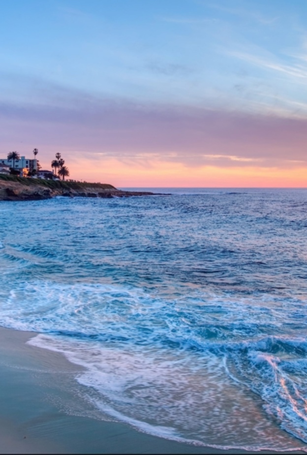شاطئ La Jolla Beach 