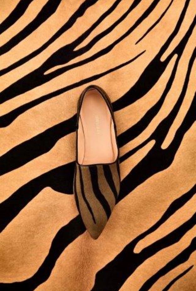 مجموعة Roberto Cavalli لربيع وصيف 2018.. رمز التغيير