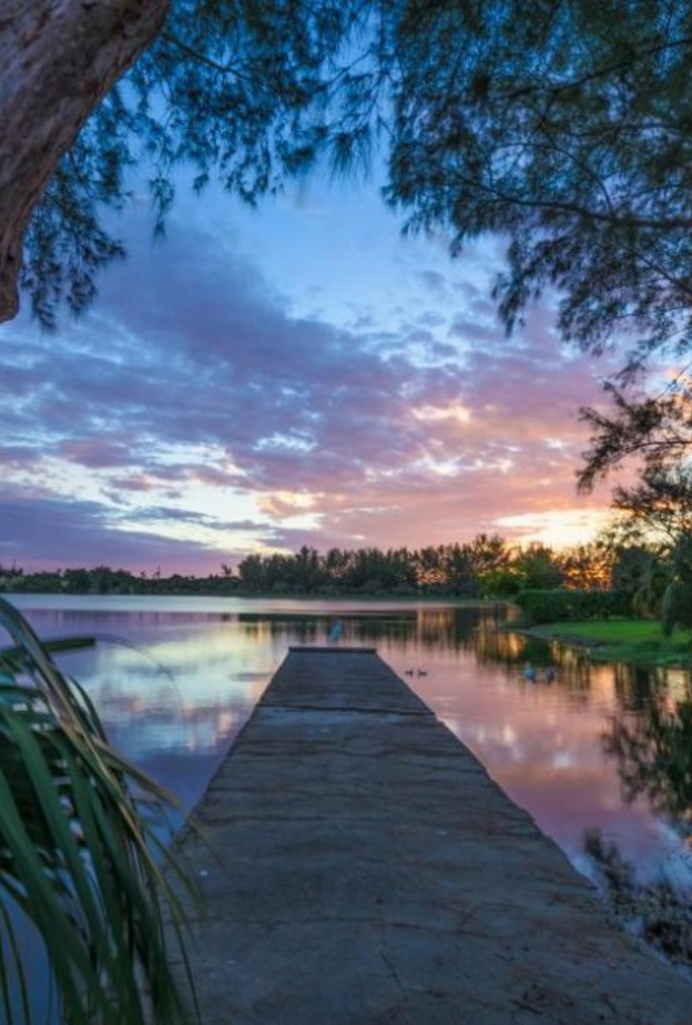 الحديقة الاستوائية