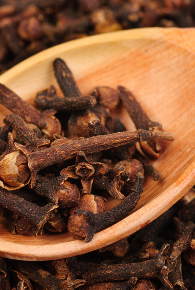 القرنفل يخفف من أعراض الربو