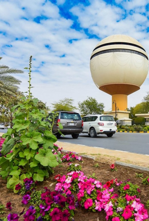 جامعة القصيم 