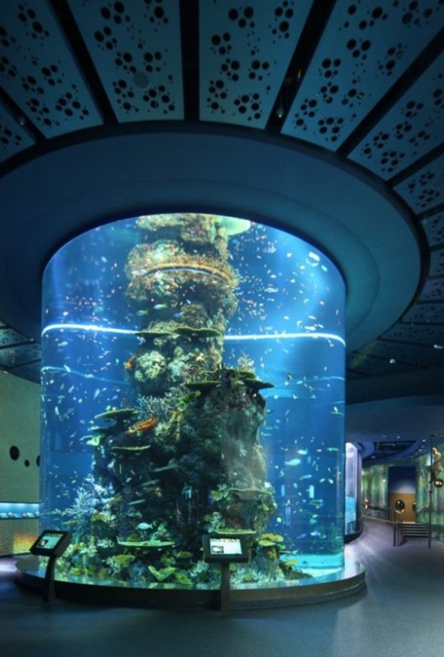 حوض الأكواريوم في مارين لايف بارك