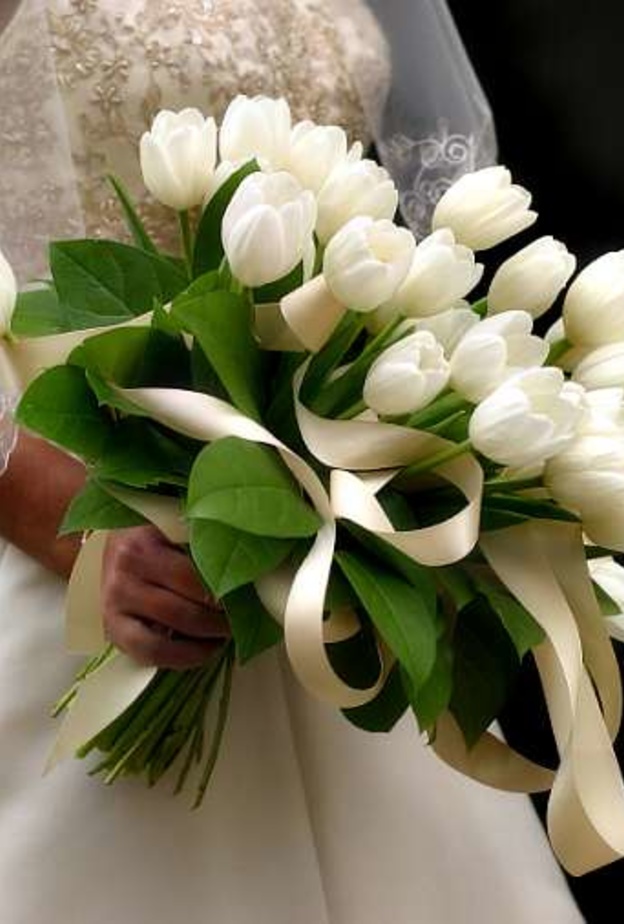 زهرة التوليب من الأزهار التي تدل على الرومانسيّة و الحب و الجمال