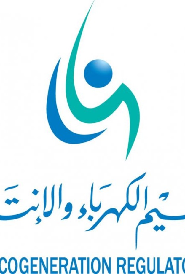  هيئة تنظيم الكهرباء والإنتاج المزدوج 