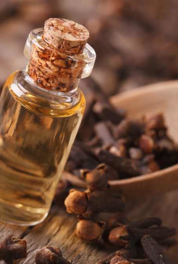 زيت القرنفل يطهر الفم.