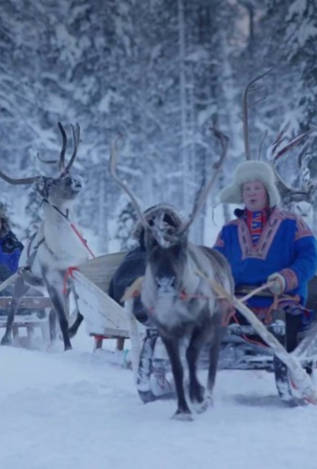 غرة نوم على شكل كبسولة - Treehotel فندق