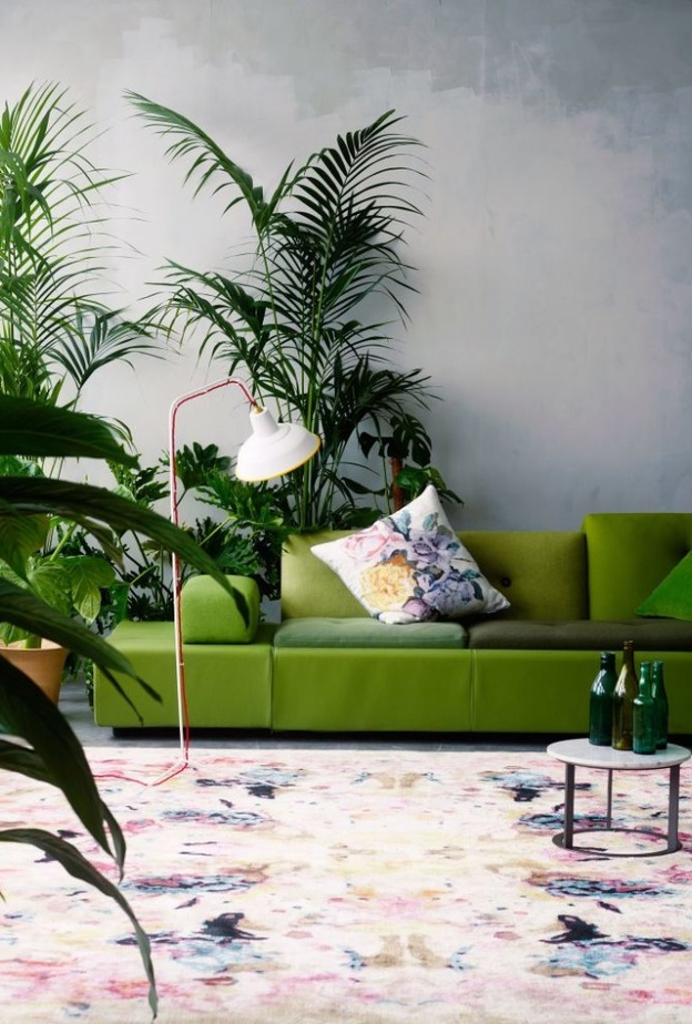 تصاميم متنوعة لأحواض النباتات تزين ديكور غرفة الجلوس