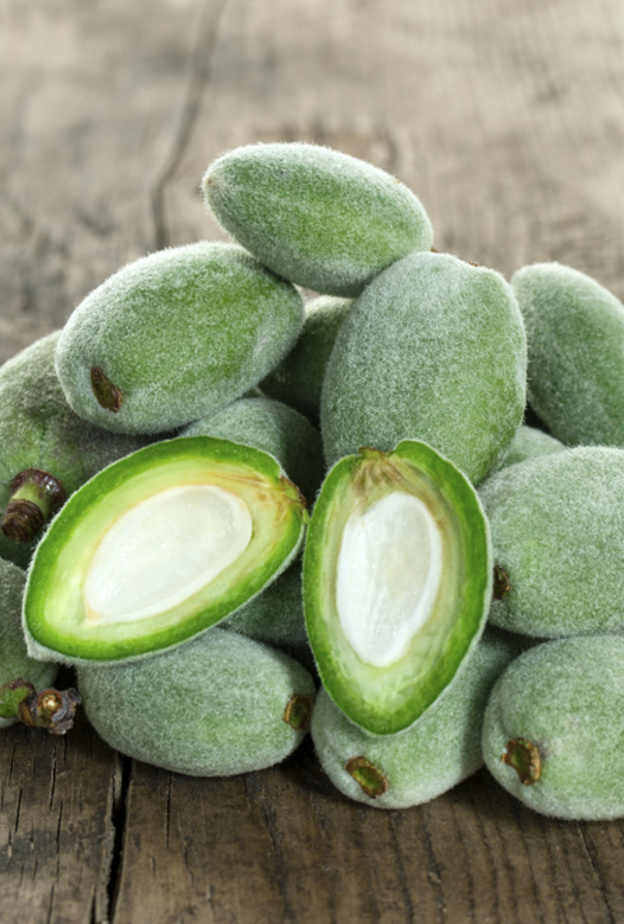  اللوز الأخضر يعزز مناعة الجسم