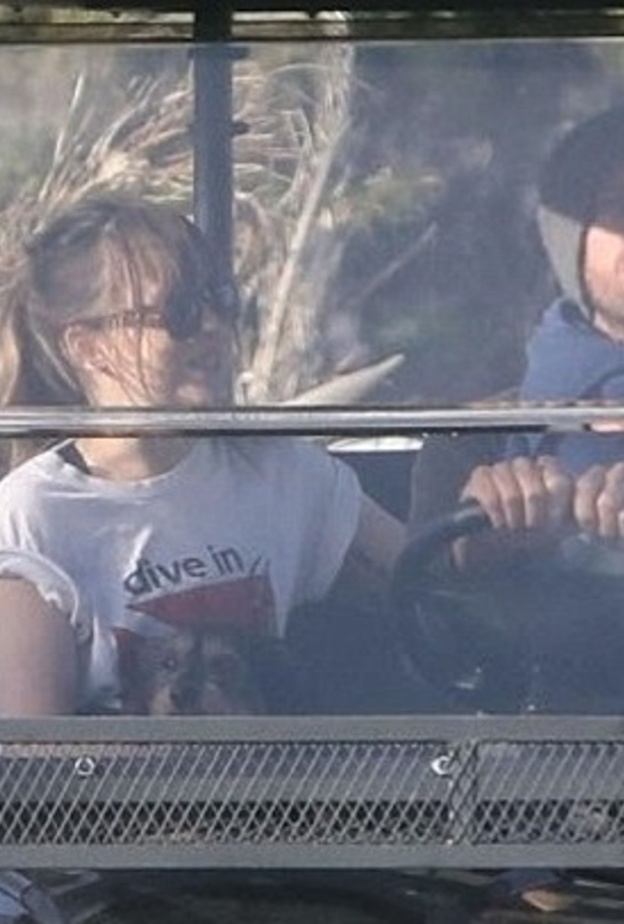 داكوتا جونسون وكريس مارتن