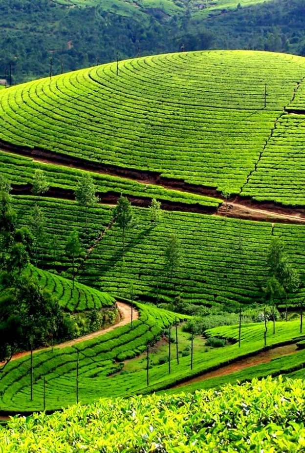 منظر من الطبيعة الرومانسية الساجرة لمدينة كوفالام كيرلا