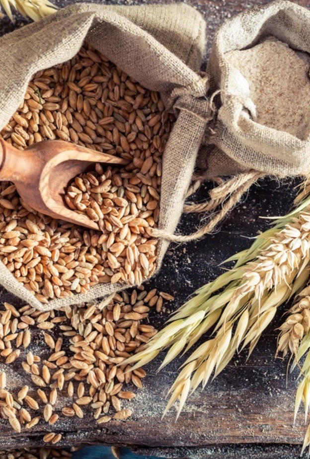 تعد الحبوب الكاملة من افضل الخيارات على وجبة الفطور